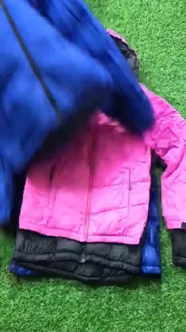 90''s The north face Puffers
